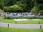 菖蒲園2.jpg