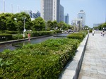 水辺の憩い.jpg