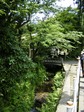 明月院・参道沿い.jpg